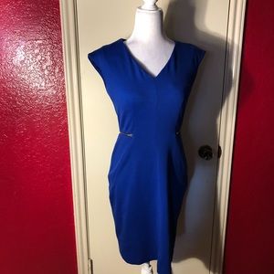 Tahari Arthur S. Levine Sleeveless Dress